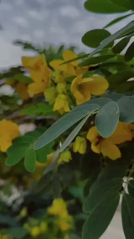 ‏عش على مبدأ : ‏