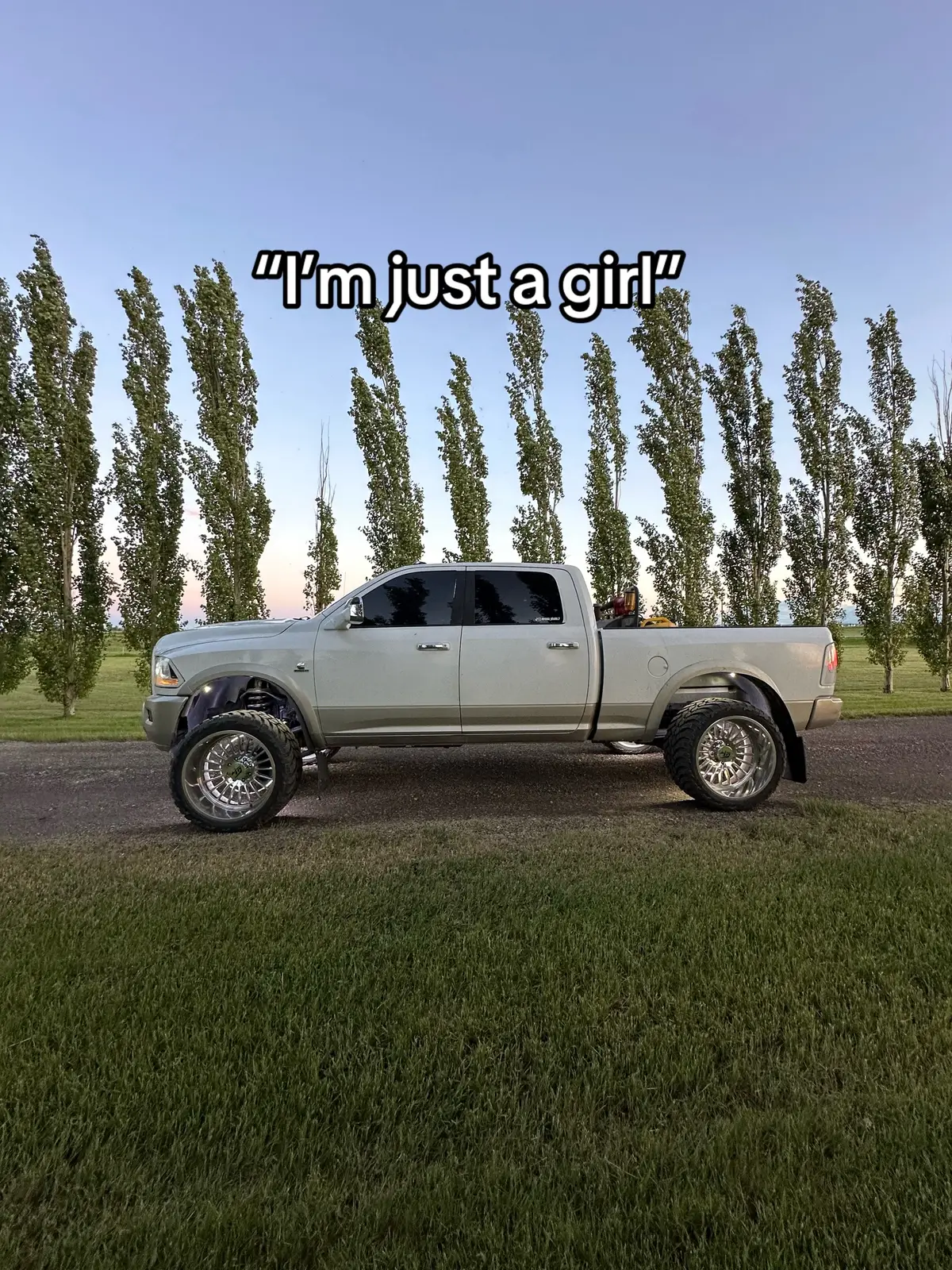 ##trucksofalberta #trucktok #24x14wides #35s #4thgen #4thgendodge#dodgeram #dodge3500cumminsdiesel #laramielonghorn #Laramie #dodge #3500 #quotes #motivetionalquotes  #motivetion #fypシ 