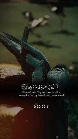 #CapCut #allah #uktiktok #islamic_media #quranvideo #quran_alkarim #loveislam #islamicreminder #quranic 