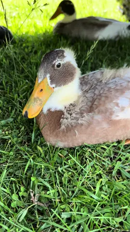 They grow up so fast 🥰