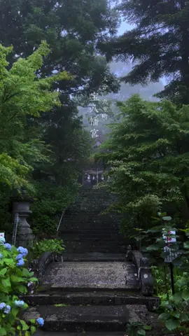 霧の立ち込む神社が美しい 　　 #神社  #shrine  #japan 