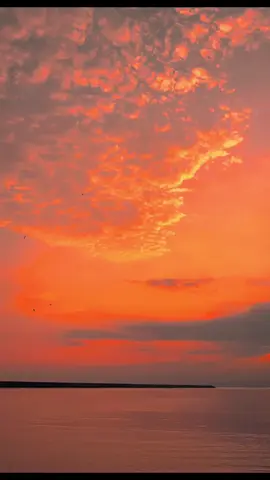 SZA - Nobody gets me 🎧🌅 #songlyrics #sunset #senjavibes 