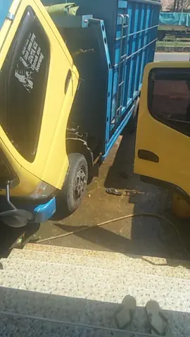 balek betarek mandy dllu bossku
