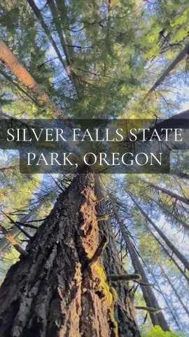 Silver Fall State Park Oregon #pacificnorthwest #oregon #naturelovers #sunnyday #Hiking #pnw #soundsofnature 