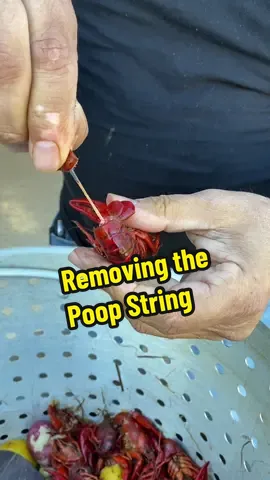 How to Remove the Poop String before you eat or You can just eat the Poop string. #crawfish #louisiana #goodvibes #fy #fypage 