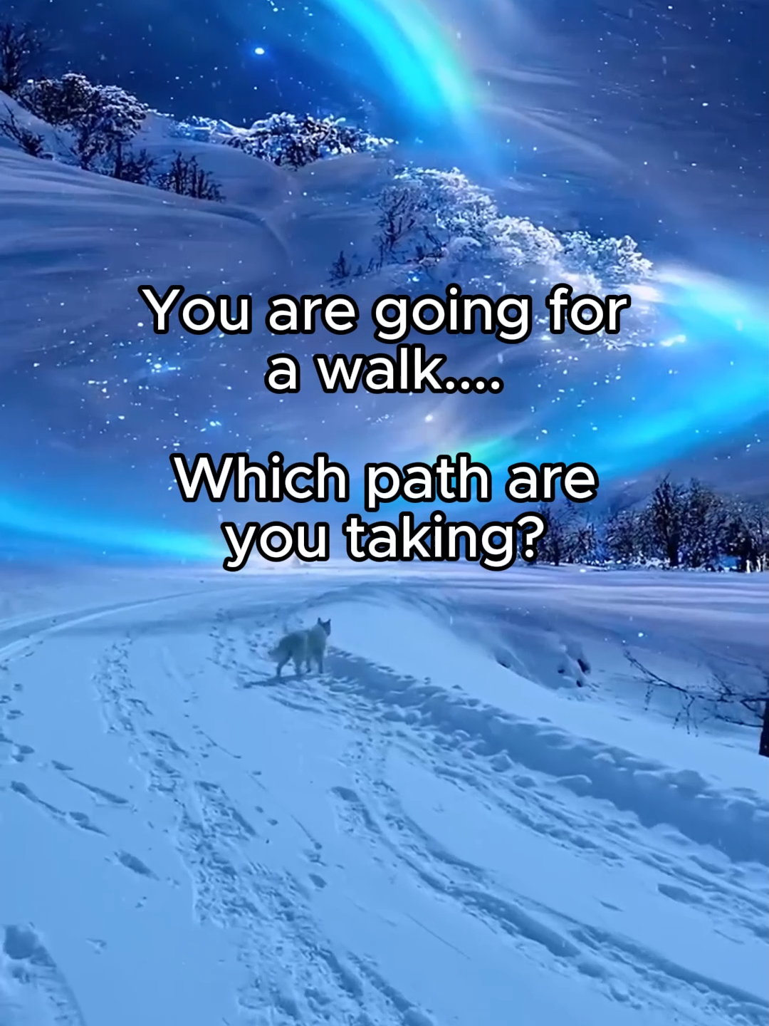 ✨Which path?✨#relax #aesthetic #chill #peace #peaceful #whichonewouldyoupick #chooseone #whichone #picone #foryou #fyp #viral #chillwithtiktok