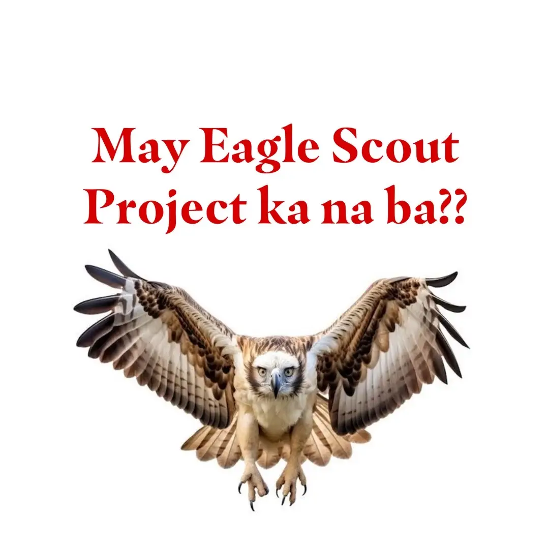 #boyscoutsofthephilippines #quezoncitycouncil #quezoncity #bsp #balarahighschool #outfit104 #seniorscout #scouting #eaglescout #eaglescoutproject #fyp