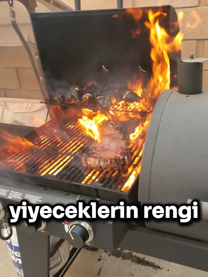 Yanan Şeylerin Rengi Neden Siyaha Döner? 🍖 🖤 🤔 #keşfet #ilginç #bilgi #ateş