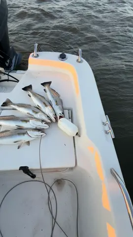 1st jump…..🐠🎣🐟 #summertime #speckledtrout #fortmorganalabama #mobilebay #inshorefishing #saltwaterfishing #fishalabama #alabamatourism 