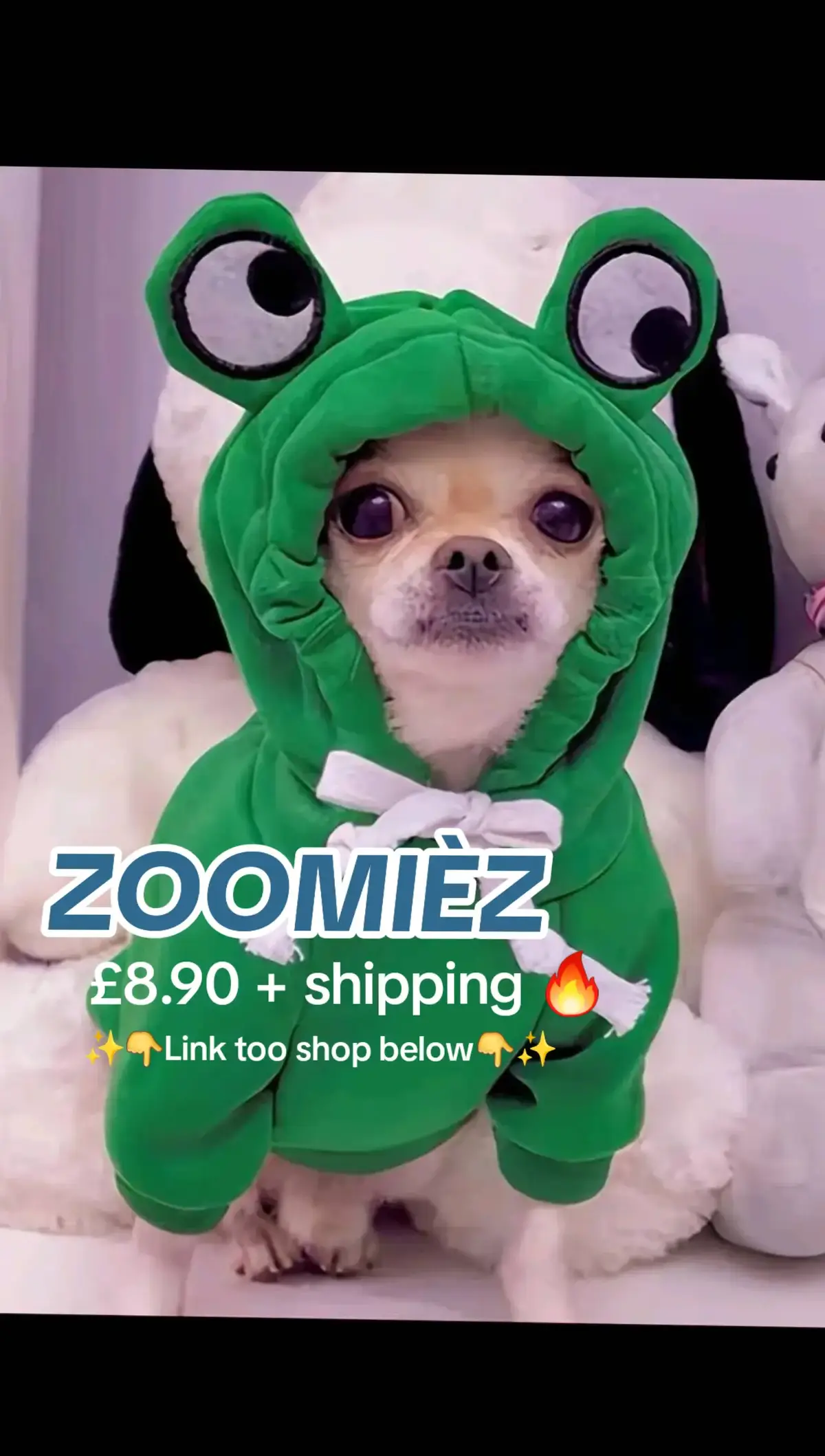 https://zoomiezpaws.myshopify.com/?_ab=0&_fd=0&_sc=1&fbclid=PAZXh0bgNhZW0CMTEAAaasxtbKQzEteWHd6NQpnR9bYath-4raKhVau7YHSB1IxH8Vh9syhxe2aFE_aem_ZmFrZWR1bW15MTZieXRlcw #Pets #frog #cute #pet #dog #puppy #cheap #bargain #UK #Britain #dogclothes #frogdog 