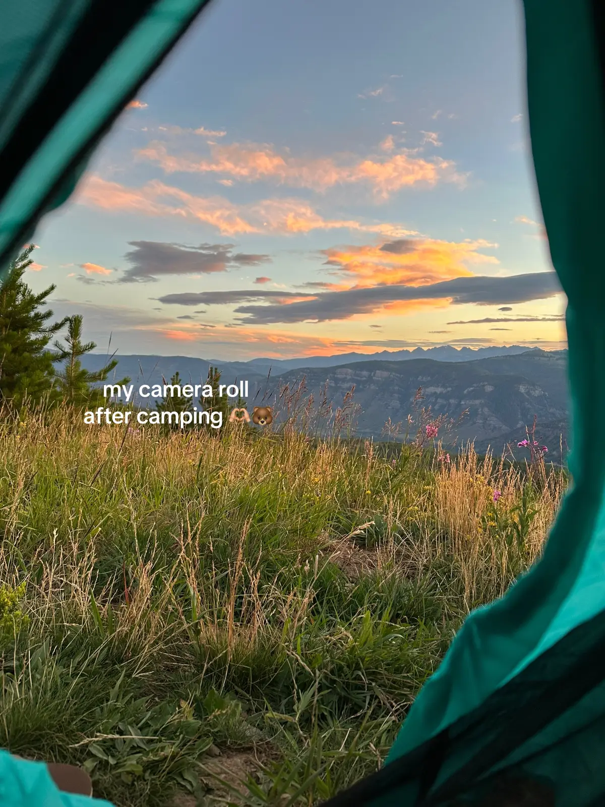 Is camping every week an unreasonable goal? #summergoals #camping #mountainliving #vailcolorado 