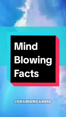 🤯 Mind Blowing Facts 🧠 Tell me which one blew your mind ⏬️ #randomfacts #LearnOnTikTok #factsyoudidntknow #random #fact #knowledge #curiosities #satisfying #relaxing #clouds #koala #eel 