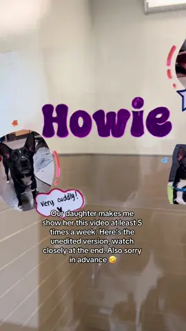 Back story: we went to the humane society a few months ago and this video, for whatever reason, our daughter is absolutely obsessed with it.  We already have a little guy, so we cant adopt.   Please go check out your local humane society if you’re looking for a new furry friend 💝