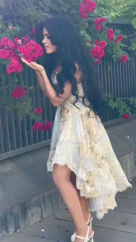 🌹🌹🌹