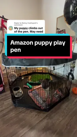 Replying to @Betsy Codispoti plus its easy to clean! 🐶 #amazonpetproducts #puppyplaytime #howtotrainmydog #puppytiktok 