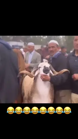 #maroc #algerie #tunisie #maghreb #dirham #saadlamjarred #hakimi #messi #ronaldo #arabiesaoudite #memes #morroco #arabicmemes #mohammed #mohammed6 #tebounne #lordabe #samurai #tiktok #zihech #poutine #biden #kimjongun #meknes #casablanca #azrou #sidislimane #fes #marrakech #kenitra #jameldebbouze #ittihad #intermiami #r9 #hassan3 maroc #marocaine🇲🇦 #marocmemes #emeutes #macron #mohamed #mohammed6 #hassan #hassan2 #algerie #algerie🇩🇿 #algerienne🇩🇿 #algerien #tunisie #tounsia #tunisienne #france #darmanin #melanchon #zemmour #memes #marocmemes #ahahah #😂 #🤣🤣🤣 #sitness #magreb #meknes #casablanca #rabat #kenitra #sidikacem #tanger #marrakech #marocvines #poutine #zelensky #covid19 #snapchat #mdr #lol #ptdr #cheblarbi #arabe #arabic #hhh #hh #hhhhhhh #tiktok #tiktokmemes #lordabe #samuraid #benzema #mahrez #ronaldo #messi #Ramadan 