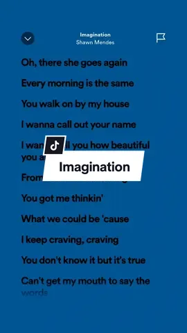 Imagination 🎶 - Shawn Mendes #HoneyLyricss #fullsong #spotify #CapCut 