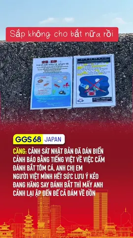 Anh em lưu ý #ggs68 #ggs68japan #japan #nhatban #tiktoknews 