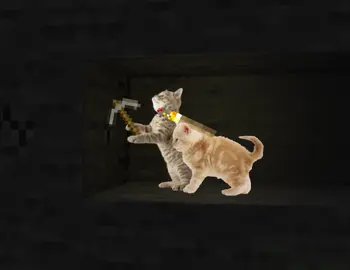 #cats in cave : #stockdancing #animation #sillycat