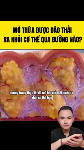 Cách để giảm mỡ bụng #LearnOnTikTok #songkhoe247 #lekimhung #giammobung 