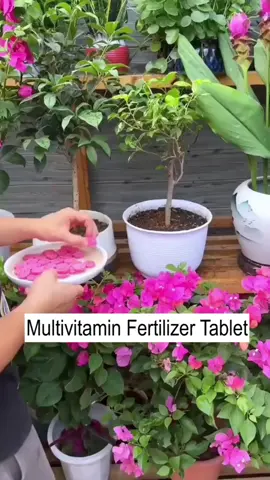 Just one tablet a month is all you need—no additional chemical fertilizers required