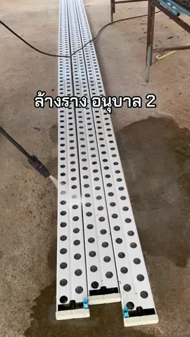 ล้างรางอีกแล้วว 😁 #ไฮโดรโปนิกส์ #ผักสลัด #ผักปลอดสารพิษ 