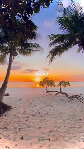 Maluku >> #maluku #melanesian #moluccan #fyp #islanders #malukupride🏝🔥 #melanesia #pacificislanders #moana 
