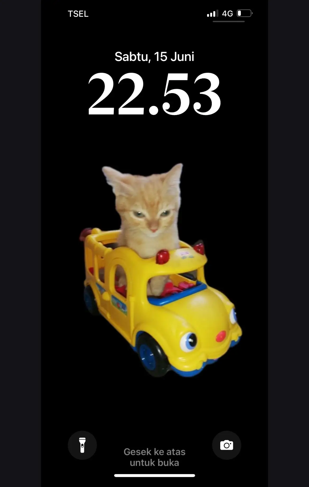 I heard u wanna have this?? huh pookie #cat #car #wallpaper #fyp #meme #catsoftiktok #funny #sigma #catoftiktok #fypシ゚viral 