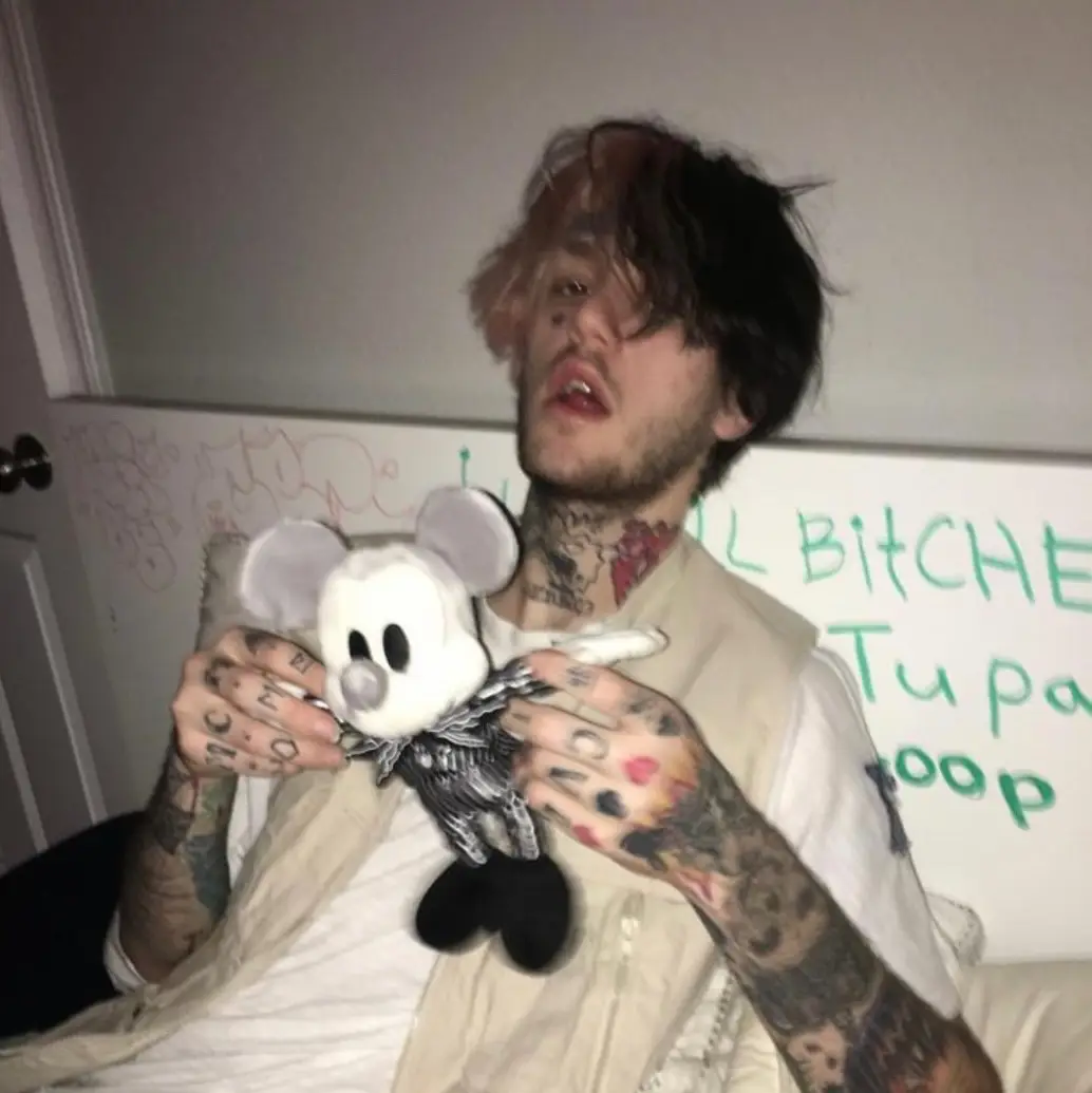 #gustavelijahåhr #lilbopeep #lilpeep #lilpeepforever #deftones #lilpeepdaily #gbc #crybaby 