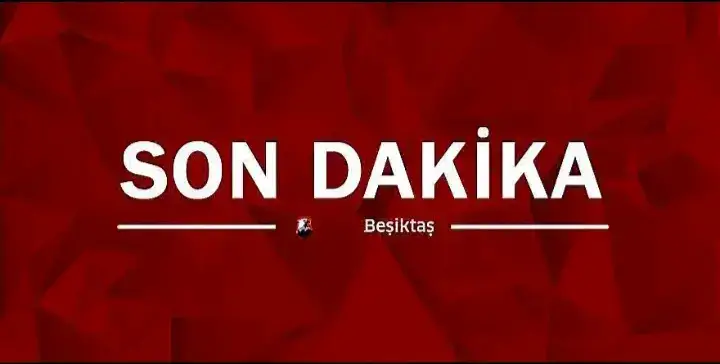 Baba geliyor #beşiktaş1903 #çarşı #hummels #1903 