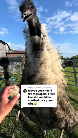 Replying to @marah The only thing Karen is digging is my grave tysm (watch the extended version with stanley on my yt&fb)