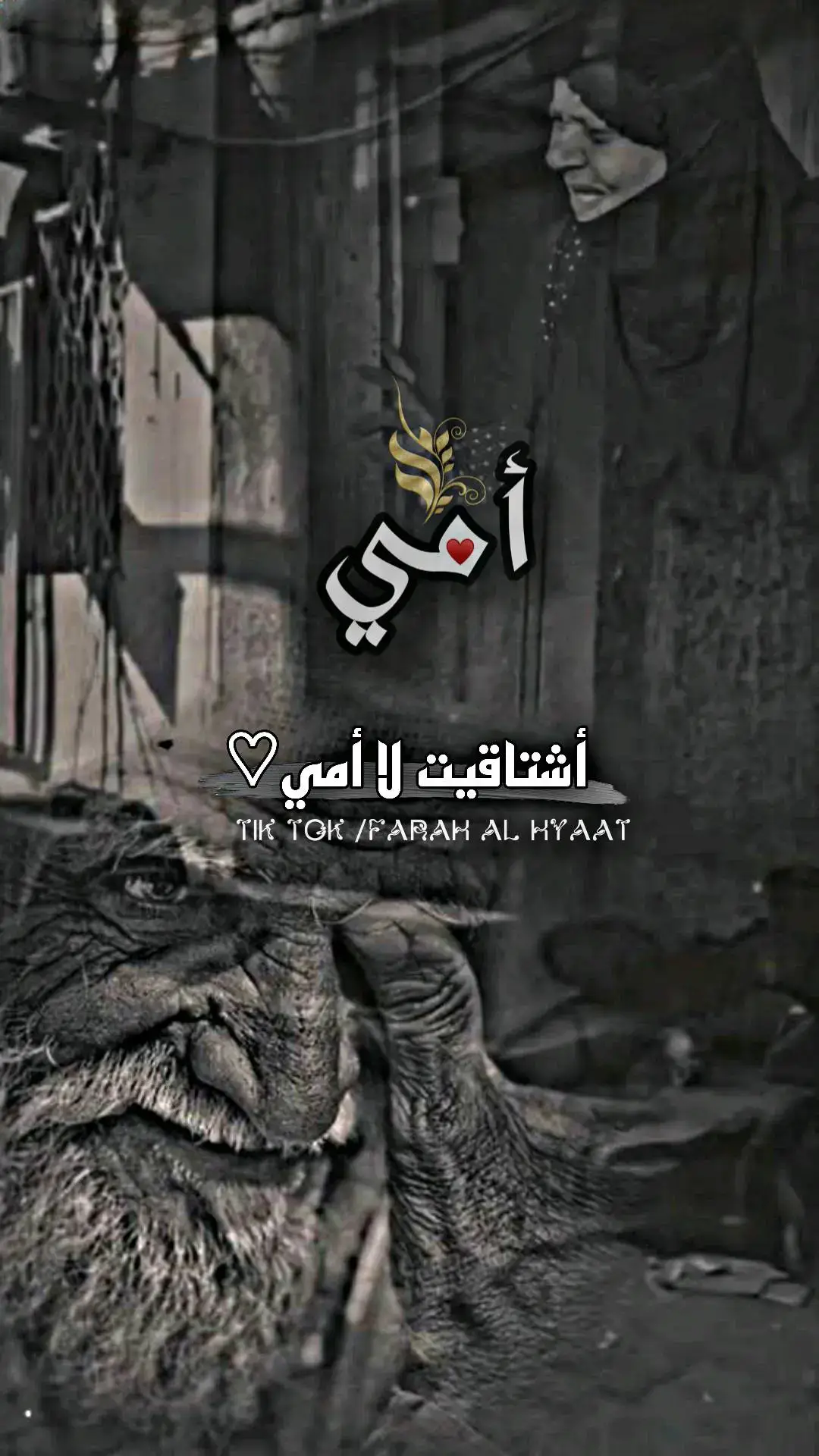 أذا كانت امي هي الجنة فأنت يا أبي بابها🥀💔#اخر_شي_نسختو💭🥀 #لاتشاهد_وترحل_دعنا_نرى_لك_اثر_طيب🌹 #قهوتي_farah_al_hyaat🤎 #قهوتي_farah_al_hyaat #قهوتي_farah_al_hyaat🤎 #تصاميم_farah_al_hyaat #قهوتي_farah_al_hyaat🧡 #قهوتي_farah_al_hyaat🤎☕ #farah_al_hyaat #سردات_farah_al_hyaat 