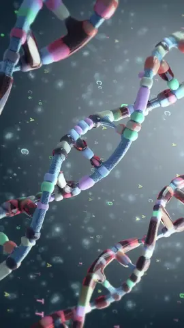 Tudo que você precisa saber sobre a dupla fita de DNA #dna #biologia #biologiamolecular #biomedicina #biology #cienciaentiktok #resumos #genetica #medicina #fy #farmacia #universidade #university 