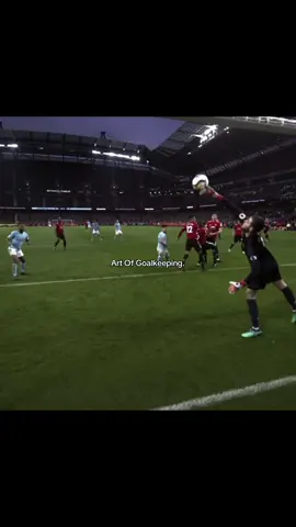 #artofgoalkeeping #goalkeeper #edit #viral #fypツ 