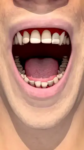 Osteo-odonto-keratoprosthesis is a medical procedure involving sewing a tooth onto a blind person's eyeball. Doctors use the patient's own tooth and drill a hole and plastic lens is fixed inside. The lens reflect light onto the back of the eye like what happens with the lens of a healthy cornea. 