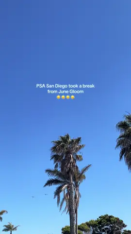 Byeeeeee june gloom #sandiego #sandiegocheck #sandiegolife #sandiegolifestyle #sandiegogirl #sandiegoliving #sandiegothingstodo #thingstodosandiego #sandiegohiddengems #sandiegocontentcreator #sandiegoblogger #sandiegobeaches #sandiegobeach ##beach #beachlife #beachday #beachgirl #beachvibes #coastalliving #coastallifestyle 