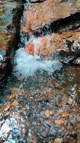 Nature Vibes in Georgia - High Shoals Falls - Hiawassee  #waterfall #waterfalls #nature #naturevibes #naturelove #naturelover #naturelovers #calming #positivevibe #peaceful #goodvibes #longwaydown #forest #photography #beauty #fyp #takeawalk #explore #trail #Hiking #hike #Outdoors #trails #lovetrails #positivevibes #meditation #timepass #lostworld #meditate #trailspinexplorer 