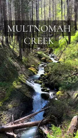 Multnomah Creek Oregon #pacificnorthwest #oregon #naturelovers #waterfalls #Hiking #soundsofnature 
