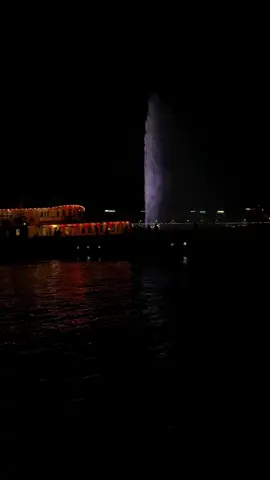 Geneva at night 
