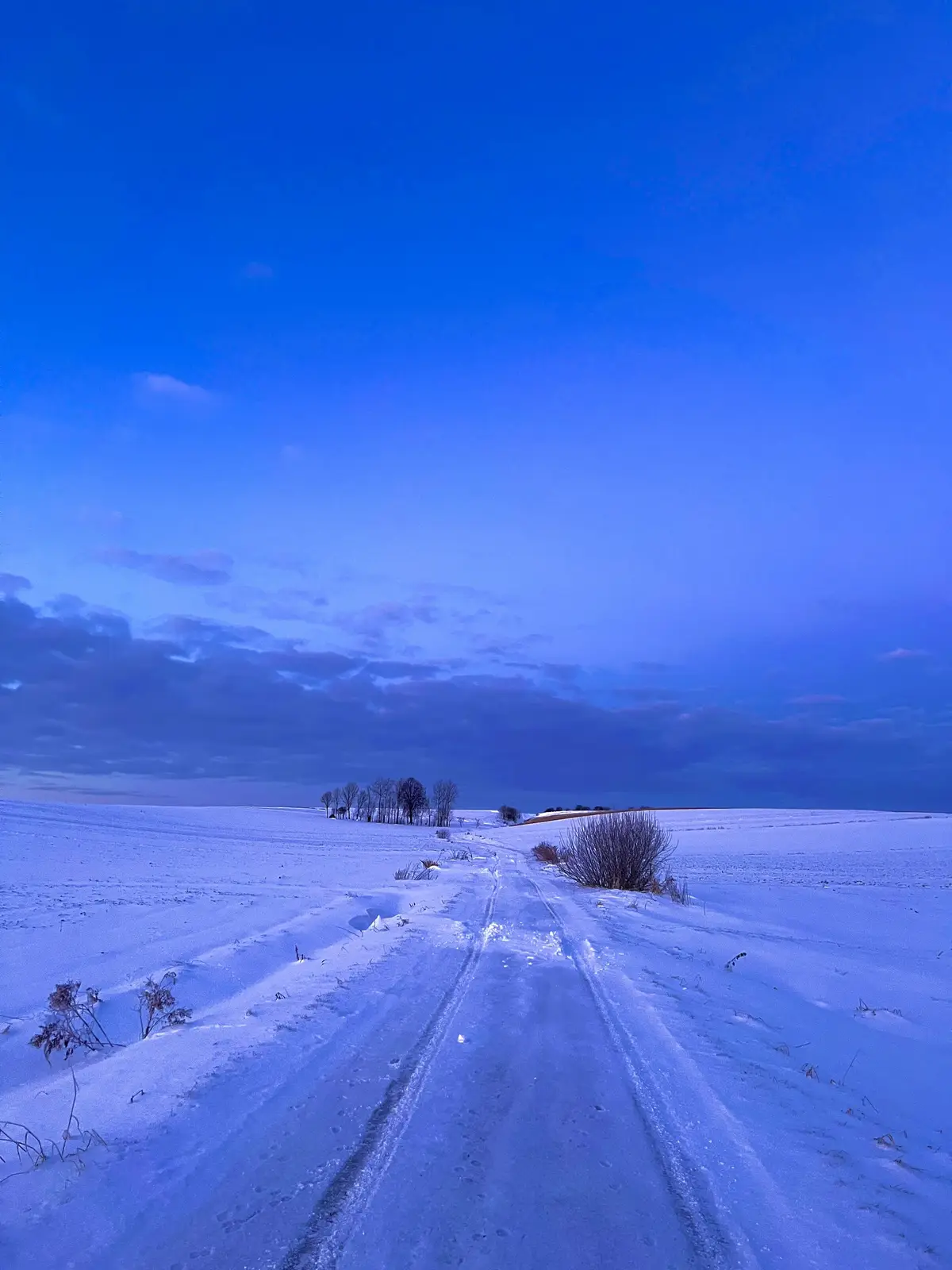 #nature #naturevibes #countryside #naturelove #fyp #naturetiktok #naturelover #fields #sky #countrylife #cottagecore #morning #morningvibes #natureza #naturephotography #photography #landscape #sunrise #winter #wintervibes #winterwonderland #snow 