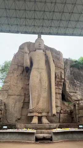 අව්කන 🙏🏻🤍  #awukana_statue #awkana #travel #buddha #calm #relaxing #girl #tikto #onemillionaudition #Love #mood 