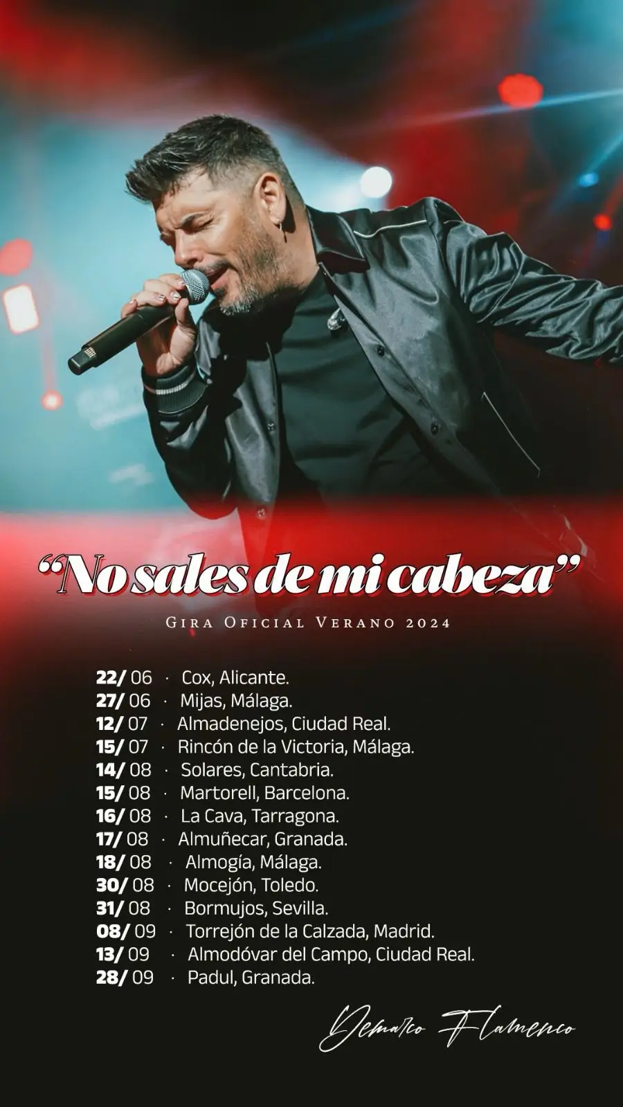 Gira 2024 #gira #conciertos #viral #fyp 