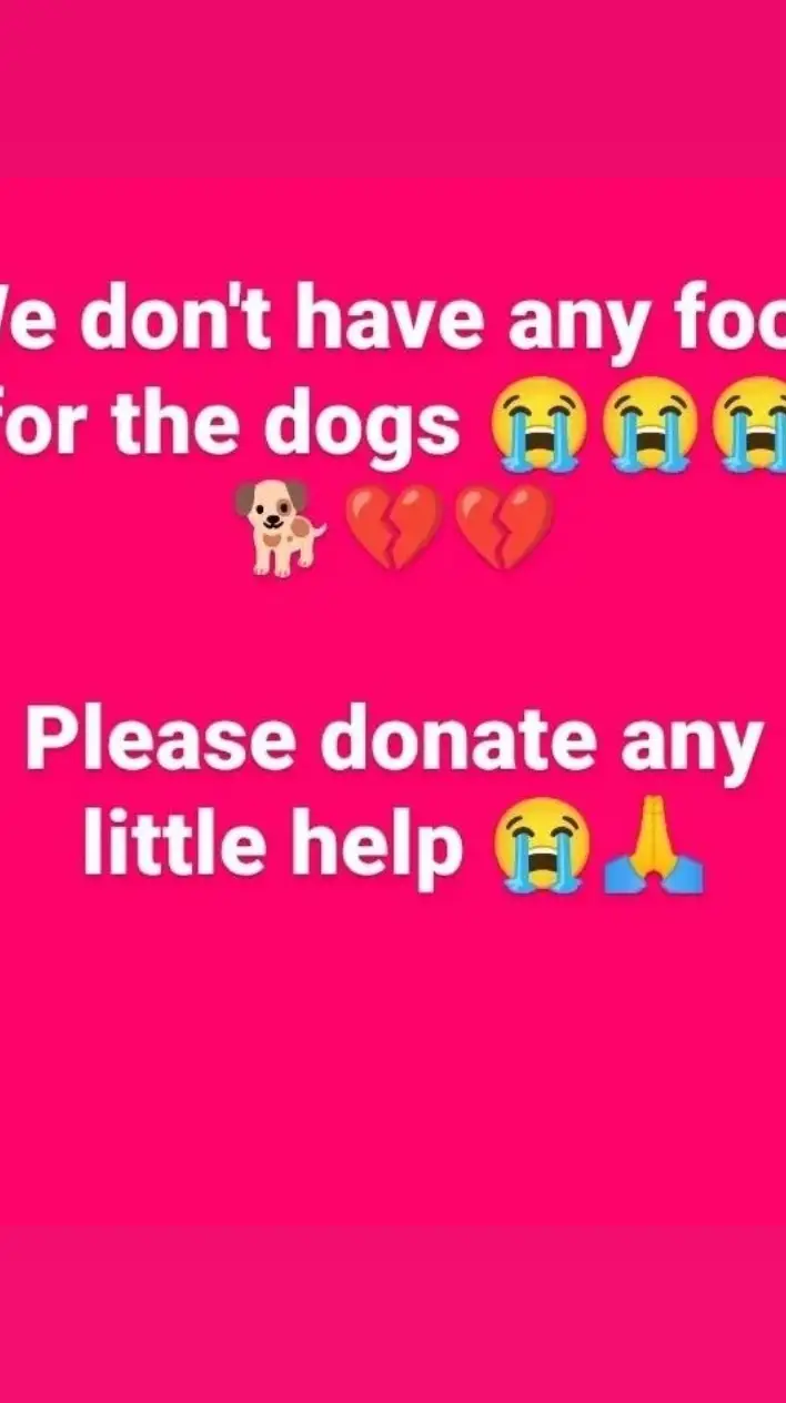 Dear brothers and sisters please join our hands together and we save this problems on our shelter though donating our PayPal link in our bio 🙈🙈🙈🙈🙈🤲🤲🤲