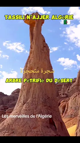 #dzdefrance #fr #algeria #foryou #tiktok #flypシ #الجزائر 