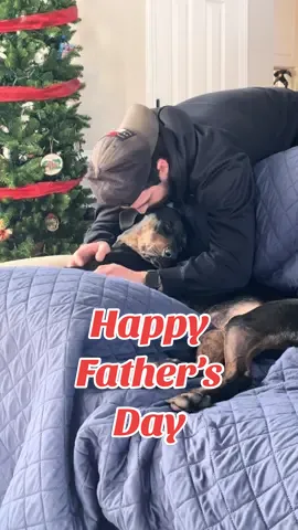 Happy Father’s Day to all the dog dads. I may be the heart but he’s the muscle and more. The rough houser. The cleaner upper. Finn’s favorite person. I couldn’t do it without him. #dogdadsoftiktok #dogsoftiktok #dogdad #FathersDay #fosterdogs #dogvideo #fosteringsaveslives #cutedogsoftiktok #rescuedismyfavoritebreed #dogsplaying #adoptdontshop  