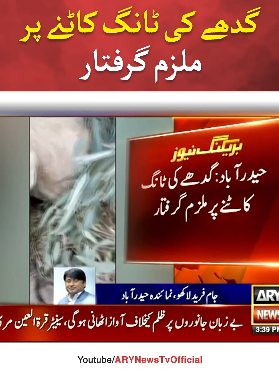 گدھے کی ٹانگ کاٹنے پر ملزم گرفتار #ARYNews