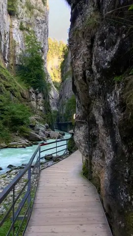 📍 Aareschlucht, Switzerland 🇨🇭 Follow us for daily Swiss Content 🇨🇭 📌 Save this for your (next) trip to Switzerland 🇨🇭 🎥 by: @swisswoow  #berneroberland #switzerland #schweiz #swissalps #nature #swisstravelinfluencer #swiss #wanderlust #visitswitzerland #jungfrauregion #suisse #landscape #grindelwald #aare #lauterbrunnen #interlaken #canyon #switzerlandpictures #swissmountains #switzerlandwonderland #brienz #swisscanyontrail #aare #heavenonearth #lakebrienz #swisstrains #travelling #reisen #beautifuldestinations #exploreswitzerland