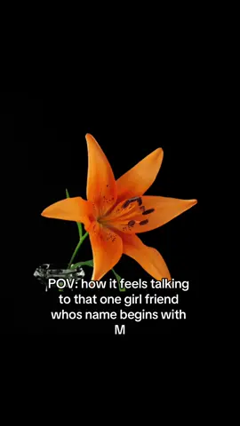 💕💕💕#flowers #prettyflowers #flowersblooming #viral #fyp #fypage #fypage 