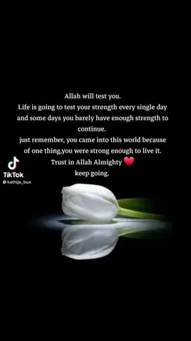 #islam #eidaladha #islamic #islamic_video 