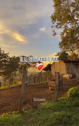 A mi papá ❤️ #dedicala #felizdiapapa #papá #amipapa #videolirycs #felizdia #tik_tok #diomedesdiaz #vallenatos #sigueme #foryou #page 